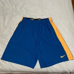 Nike Dri-Fit Shorts